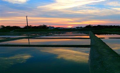 Les Marais Salants de Vie à St Hilaire de Riez proche du Camping Les Tulipes, camping 2 étoiles bord de mer, camping avec piscine et jacuzzi à la Faute sur Mer proche de la Tranche sur Mer et des Sables d'Olonne en Vendée - Camping les tulipes