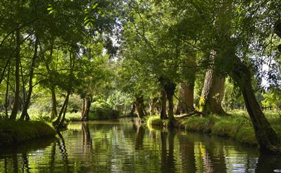 Le Marais Poitevin, proche du camping les tulipes, camping avec piscine chauffée et accès direct plage  - Camping les tulipes