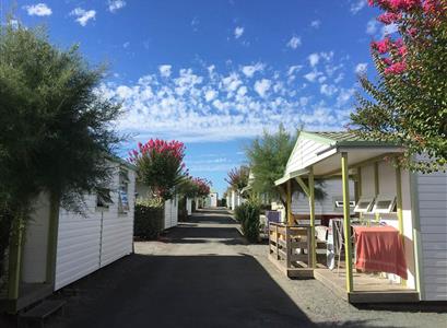 Camping les tulipes